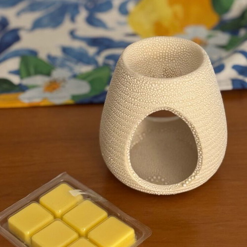 Lemon scented wax melts and burner
