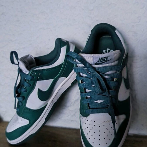 Nike Dunk Low Next Nature Bicoastal sneakers used, size 38