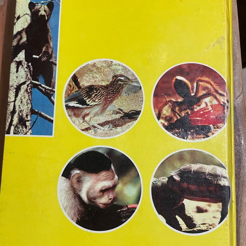 The Wonders of the Animal World used book by Walt Disney