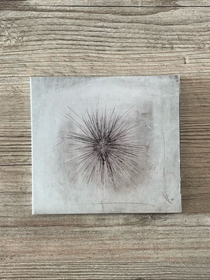 Lolek Achinos CD like new, indie folk alternative