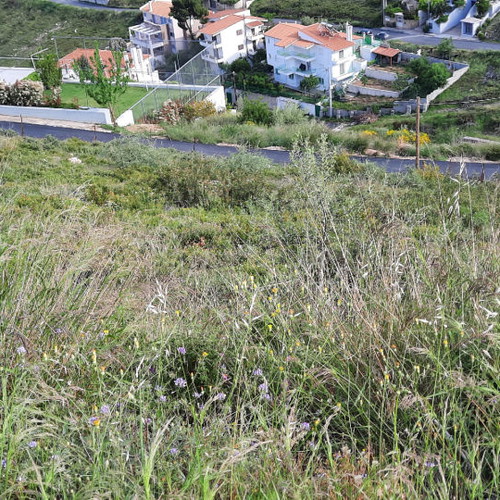 Land 1,003 m² in Neos Voutzas with sea view, within city plan