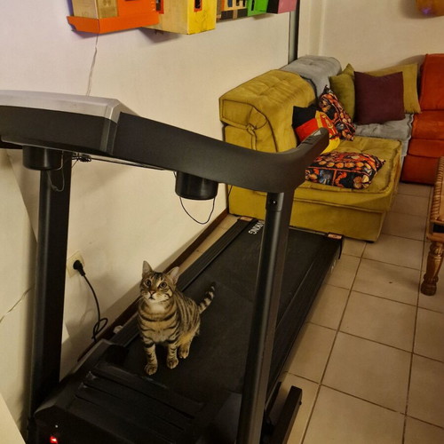 Viking D-10 treadmill like new
