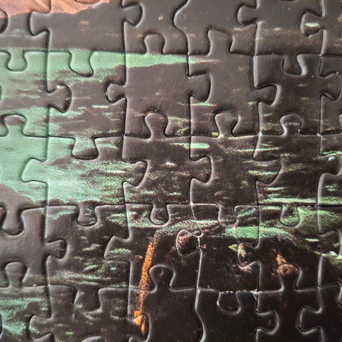 Educa Aurora Boreal Puzzle 1000 pieces used