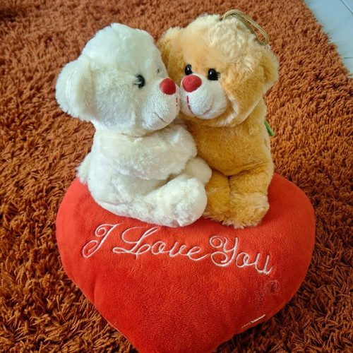 Valentine teddy bear dolls like new