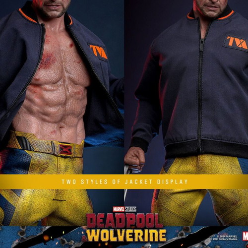 Hot Toys Wolverine TVA Jacket Version 1/6 Scale new