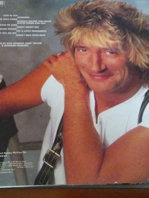 Rod Stewart Out of Order vinyl like new, rock