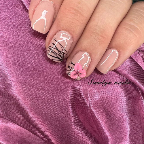 Press On Nails new, set of 10 pieces with application kit