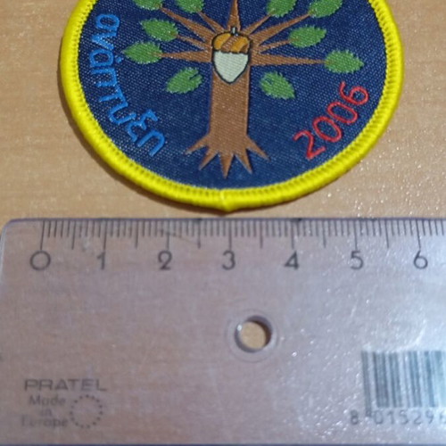 Scout collectible badge 2006 year of development new