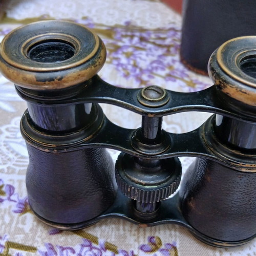 Theater binoculars with case, vintage