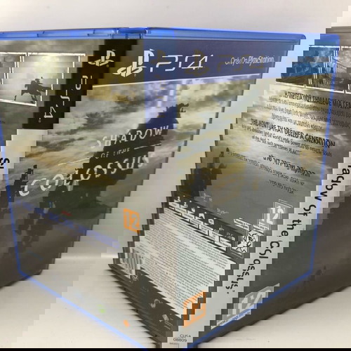 Shadow of The Colossus PlayStation 4 used