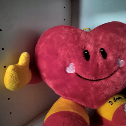 Teddy bears used