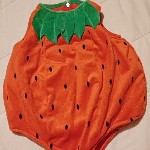 Strawberry Baby Costume carnival, like new, 6-12 months