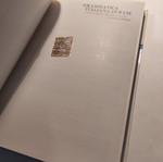 Basic Italian Grammar Zanichelli like new