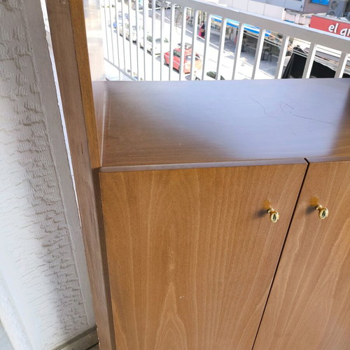 TV cabinet with cupboard and shelf