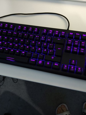 Sharkoon Skiller SGK30 mechanical gaming keyboard with RGB and mouse like new