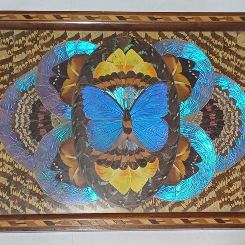 Vintage Brazilian Serving Tray with Real Butterfly Wings