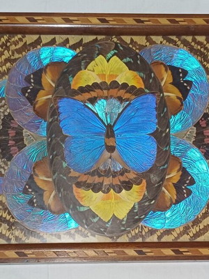 Vintage Brazilian Serving Tray with Real Butterfly Wings