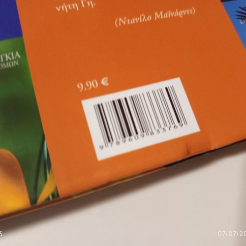 The Encyclopedia of Animals Volume 16 used, Bees, Ants and the World of Insects