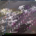  Neil Diamond - Hot August Night 2Lp Gatefold album