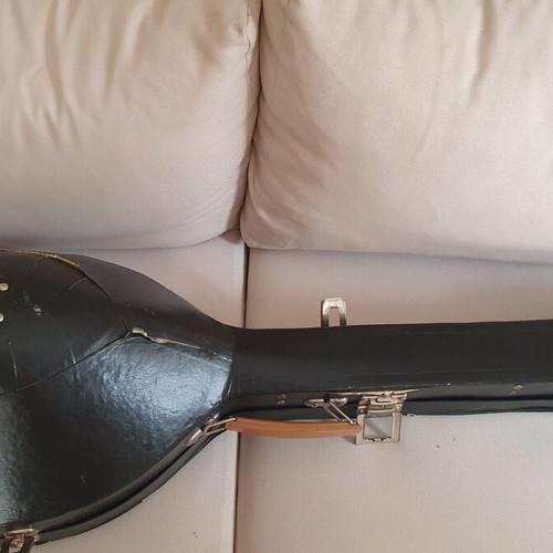 Bouzouki 8-string professional used with case