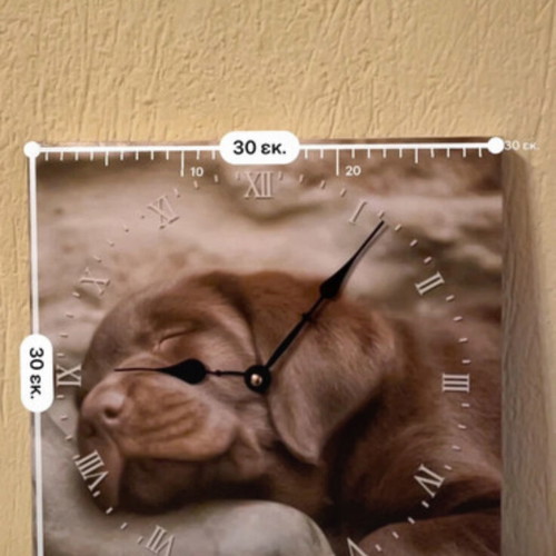 Wall clock new with dog design