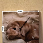 Wall clock new with dog design