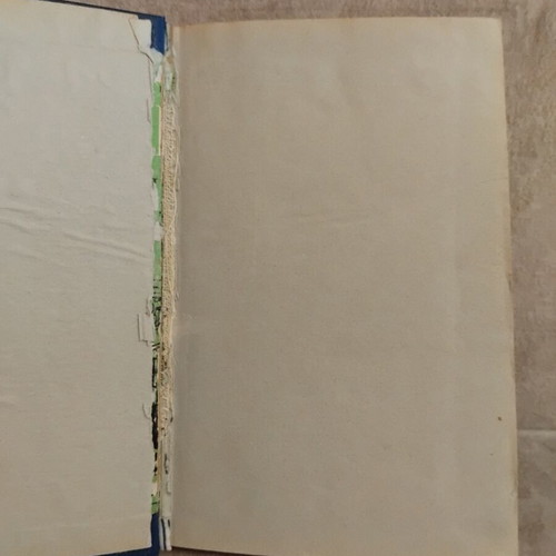 Van Gogh A Man And His Life book, very good condition