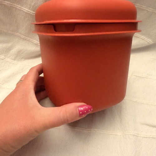 Tupperware Ice Cube Keeper Container 1466 vintage, used