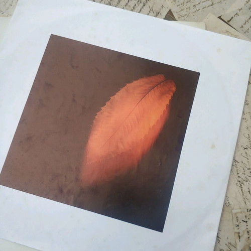Peter Gabriel Shaking The Tree Twelve Golden Greats LP used, rock