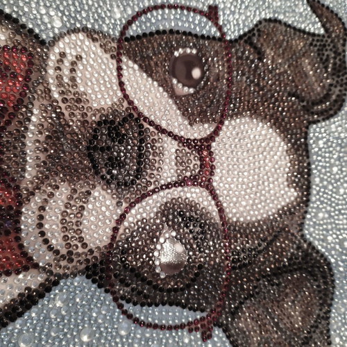 Dog with glasses diamond painting canvas new 25x25
