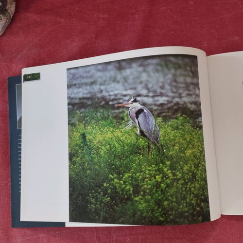 Oikofotografia album Dimitris Lambrellis like new