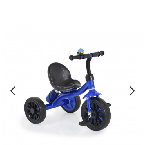Tricycle bike