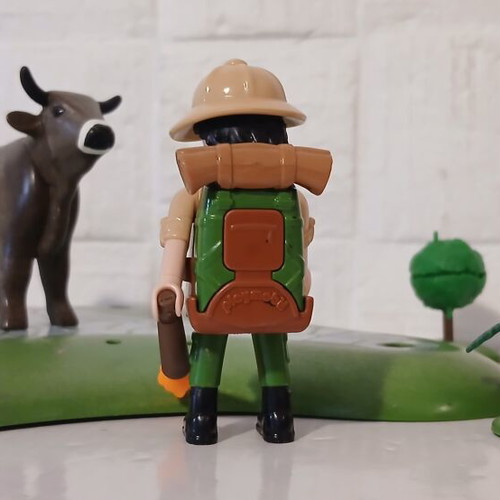 Playmobil explorer set