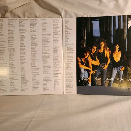 Bon Jovi New Jersey vinyl like new