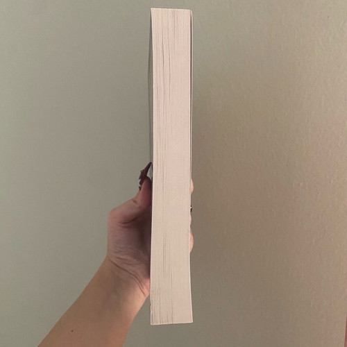Novel O Aionas ton Lavyrinthon by Rea Galanaki in very good condition