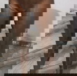  Ποδια κουκλας βιτρινας-eshop