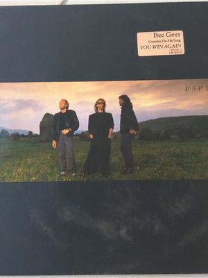 Δίσκος βινυλίου Bee Gees σε καλή κατάσταση