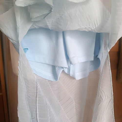 Long transparent skirt with shorts