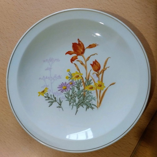 Vintage set of 12 floral plates, 18 cm