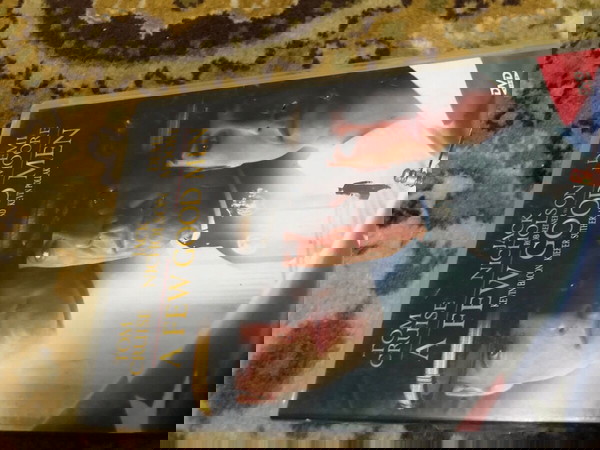 ταινία