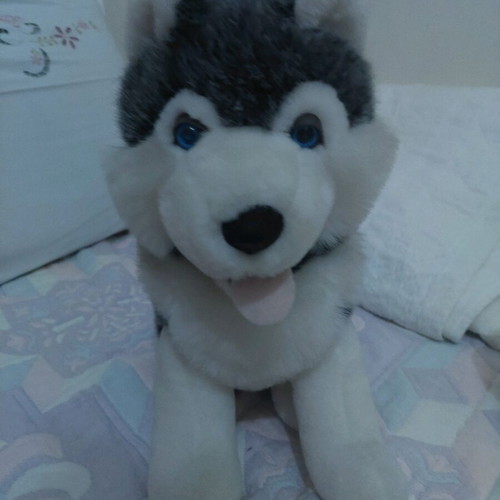 Plush Husky Dog Like New