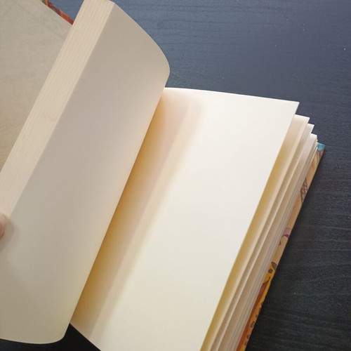Notebook without lines like new