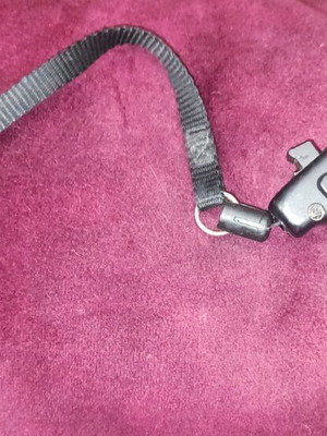 Leash for small dog used