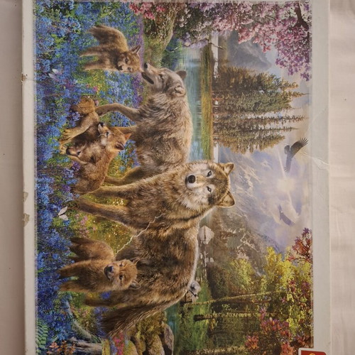 Puzzle 500 pieces used