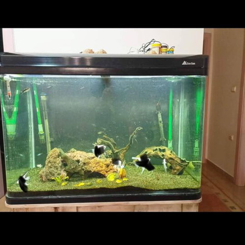 Aquarium 300 liters like new with LED lighting and Eheim thermostats
