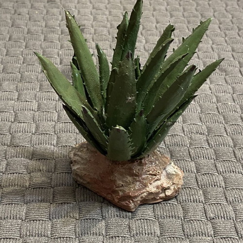 Decorative Aloe Plant for Aquarium and Terrarium, new