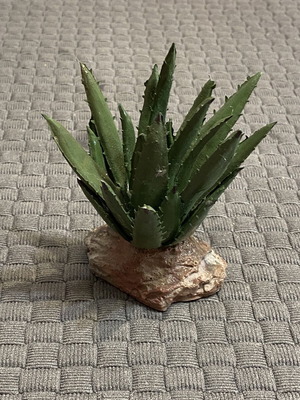 Decorative Aloe Plant for Aquarium and Terrarium, new