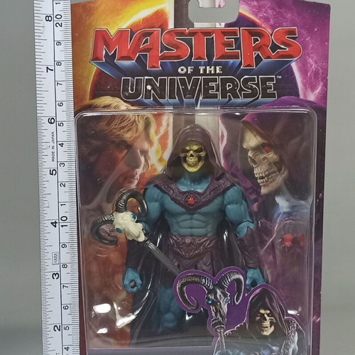 Skeletor 5.5" Action Figure New from Masters of the Universe 2026