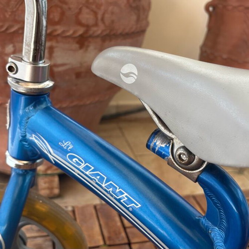 Giant Li’l children's tricycle used with removable handle