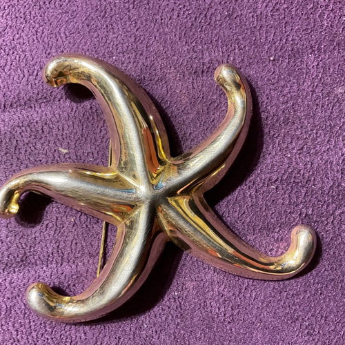 Pin in star shape with beautiful details